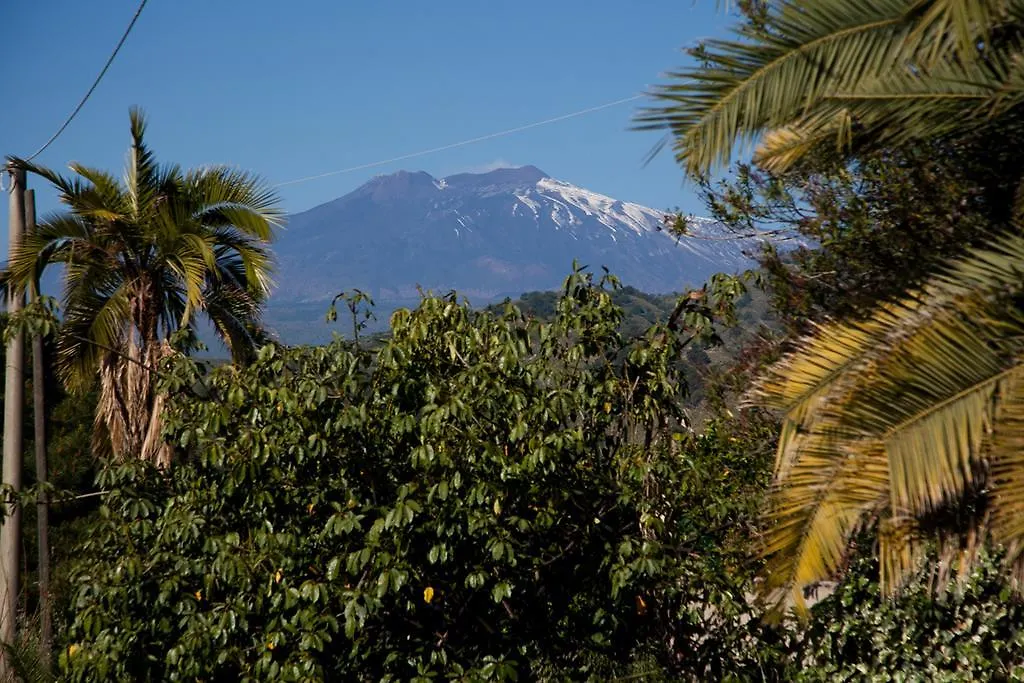 Villa Casa Della Zagara Trappitello Vakantiehuis